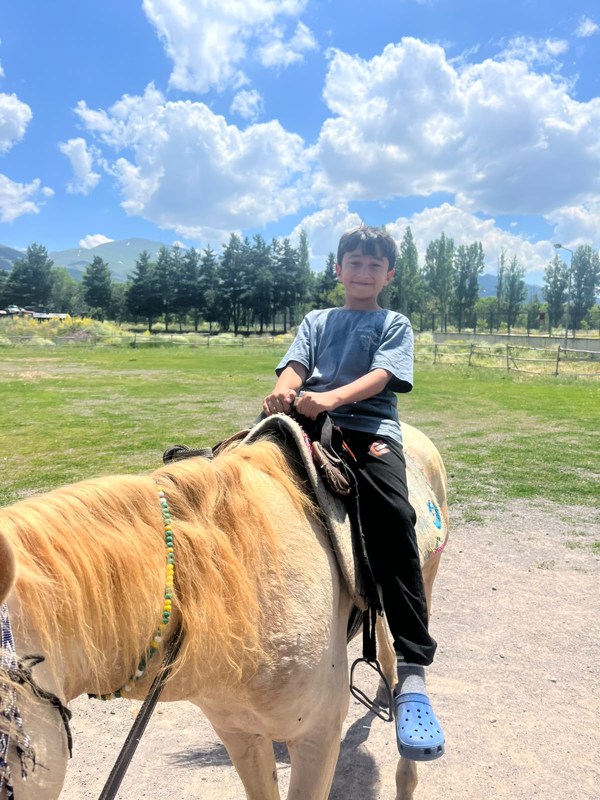 At biniciği